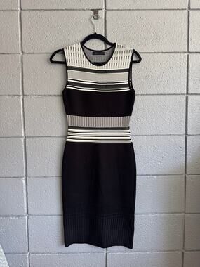 RVN Black and White Mesh Bodycon Panel Dress size XS